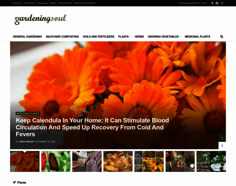 Gardeningsoul.com thumbnail