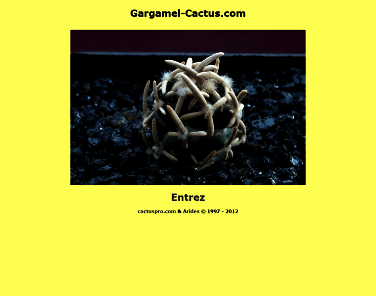 Gargamel-cactus.com thumbnail