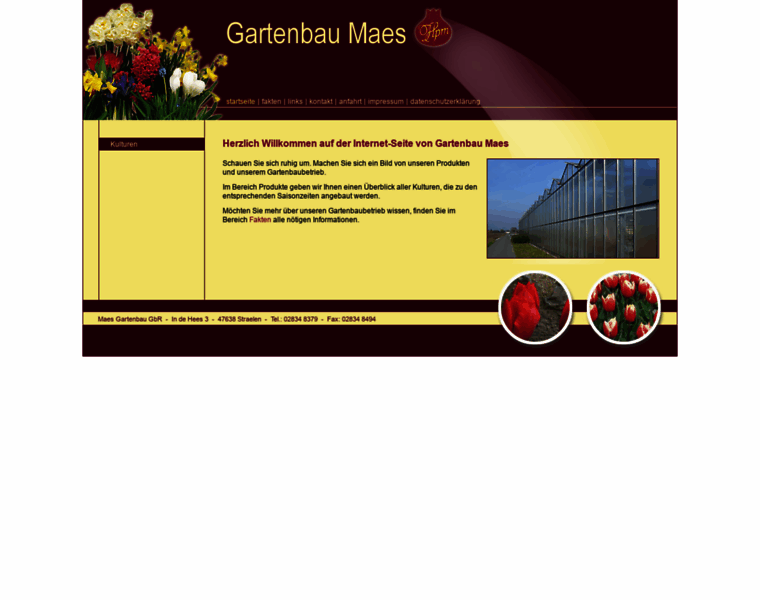 Gartenbau-maes.de thumbnail