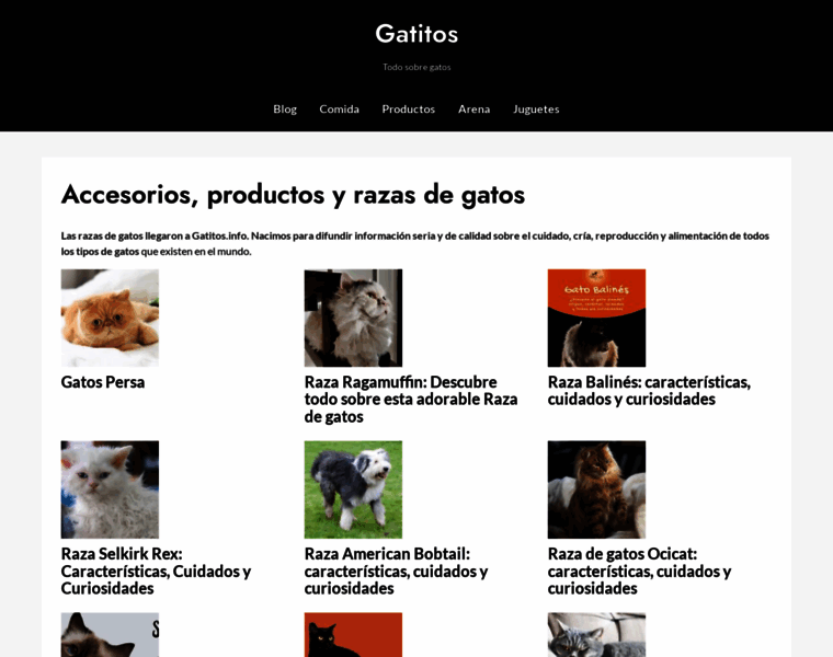 Gatitos.info thumbnail