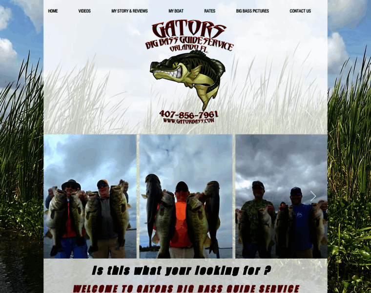 Gatorbass.com thumbnail Gatorbass.com thumbnail