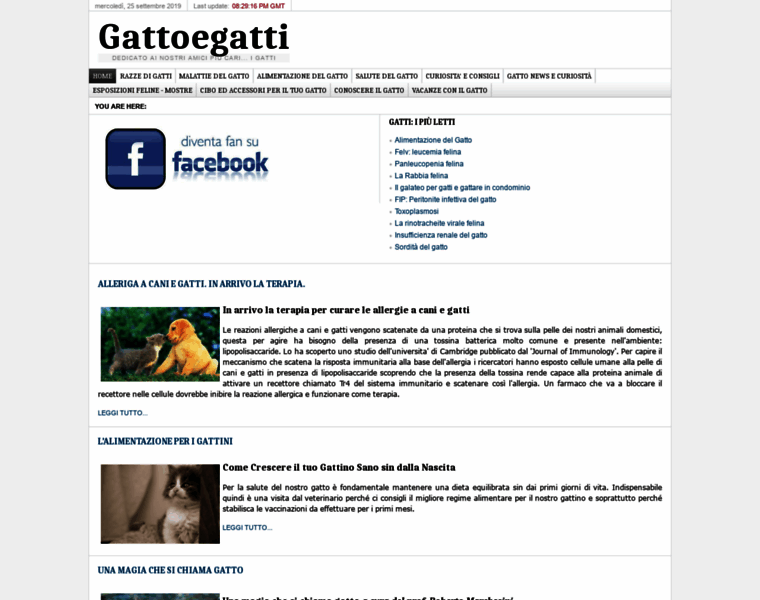 Gattoegatti.com thumbnail