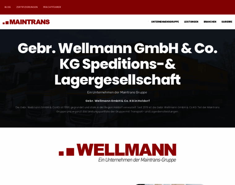 Gebr-wellmann.de thumbnail