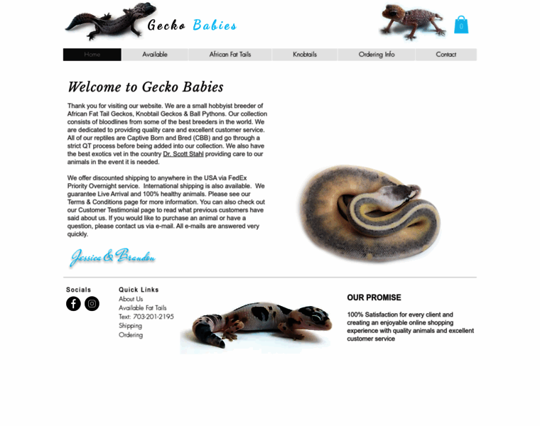 Geckobabies.com thumbnail