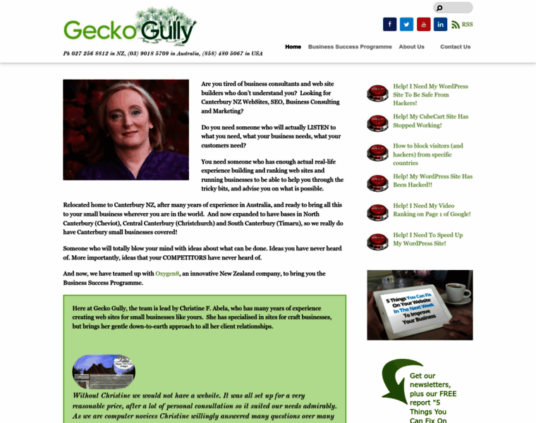 Geckogullywebsites.com thumbnail