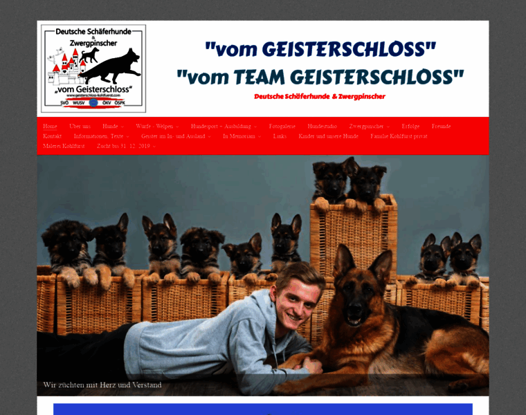 Geisterschloss-kohlfuerst.com thumbnail