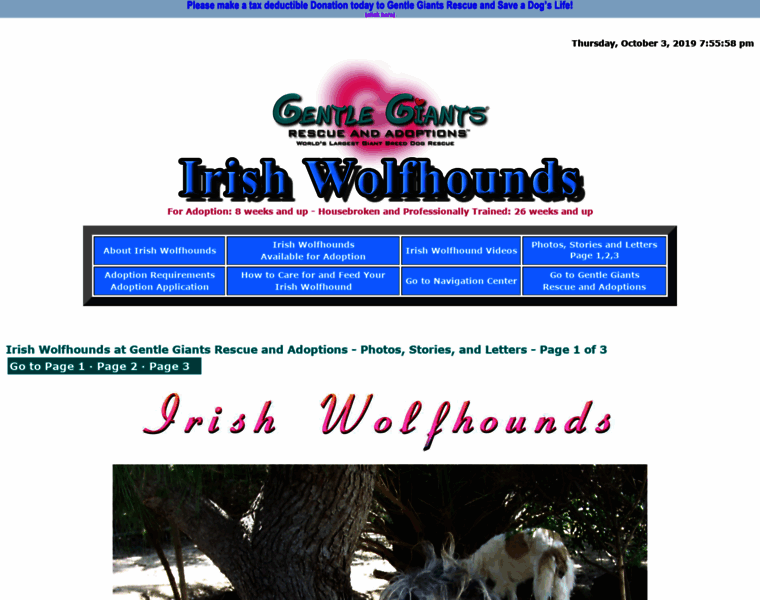 Gentlegiantsrescue-irish-wolfhounds.com thumbnail