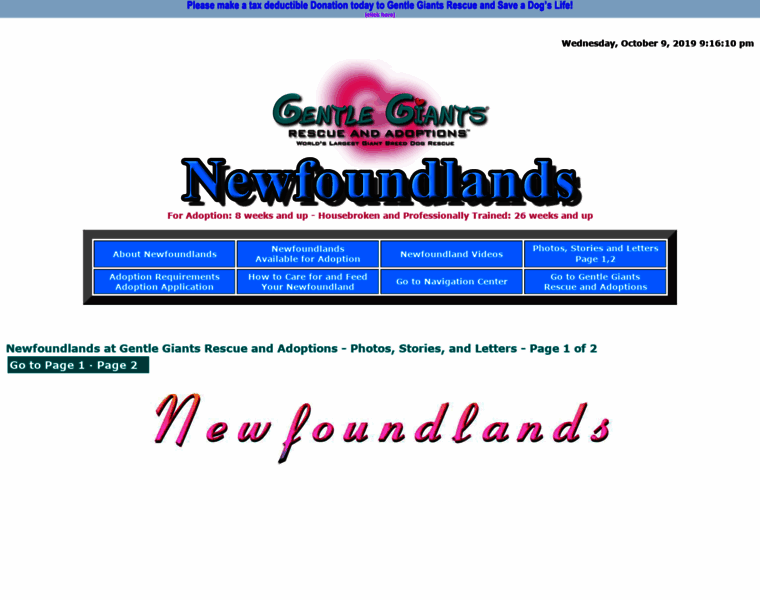 Gentlegiantsrescue-newfoundlands.com thumbnail