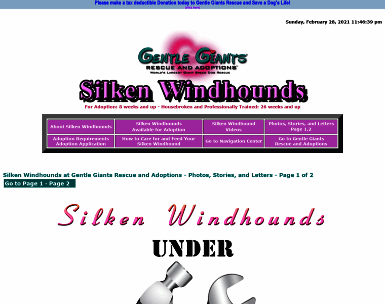 Gentlegiantsrescue-silken-windhounds.com thumbnail