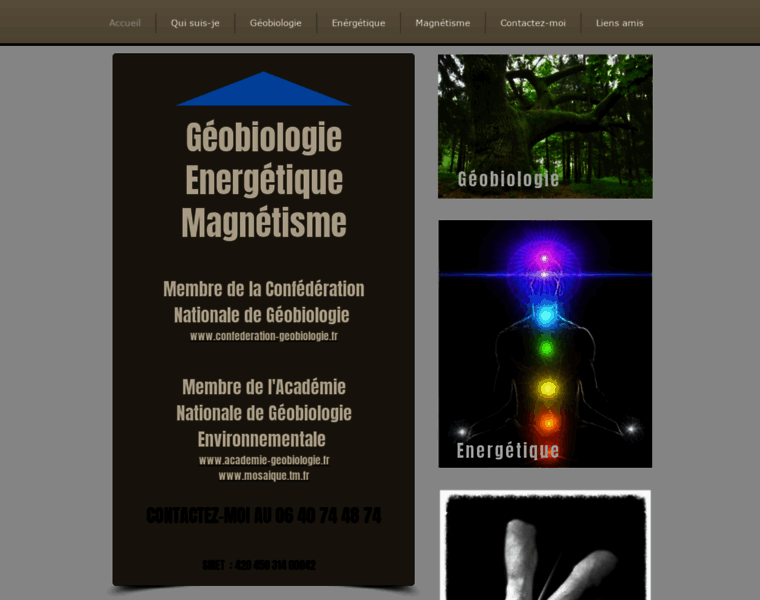 Geobiologie71.com thumbnail