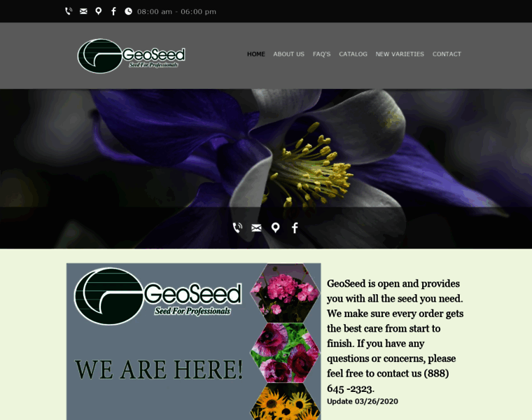 Geoseed.com thumbnail