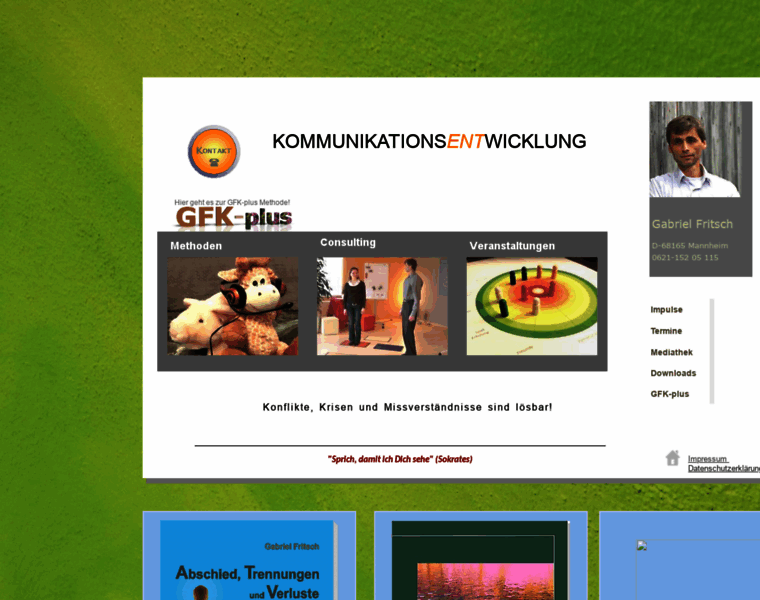 Gfk-mediation.de thumbnail