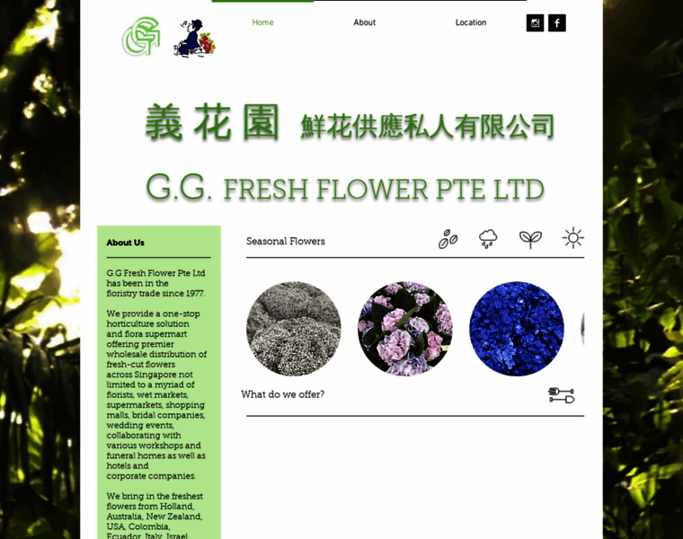Ggfreshflower.com thumbnail