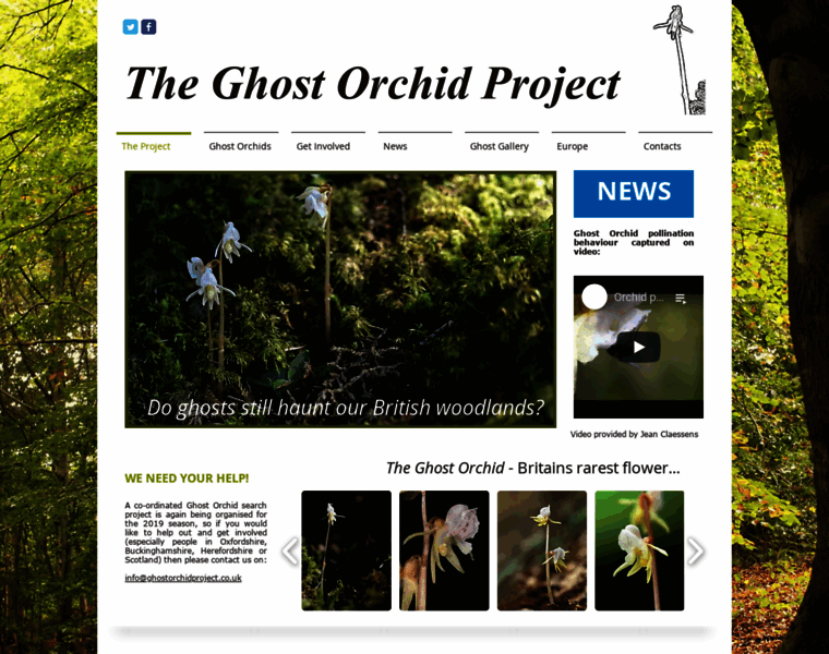 Ghostorchidproject.co.uk thumbnail