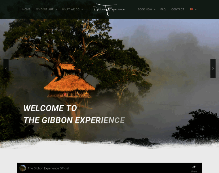 Gibbonexperience.org thumbnail Gibbonexperience.org thumbnail
