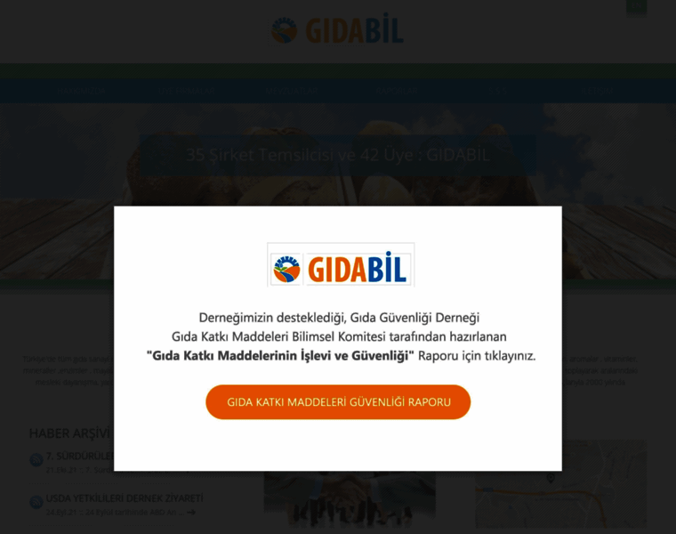 Gidabil.org.tr thumbnail