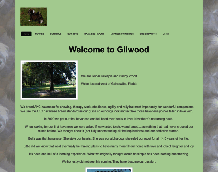 Gilwoodhavanese.com thumbnail