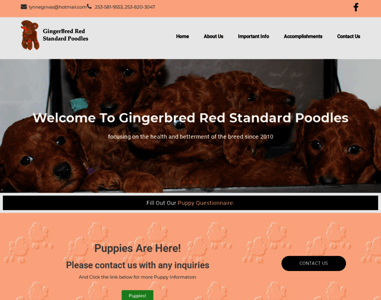Gingerbredpoodles.com thumbnail