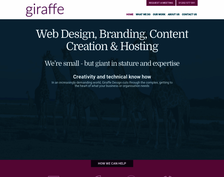 Giraffedesign.co.uk thumbnail