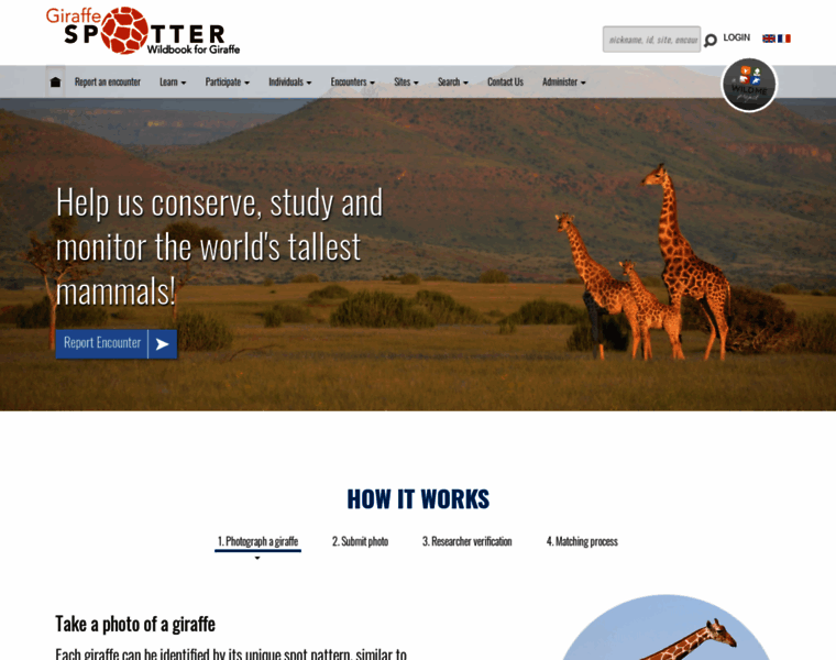 Giraffespotter.org thumbnail