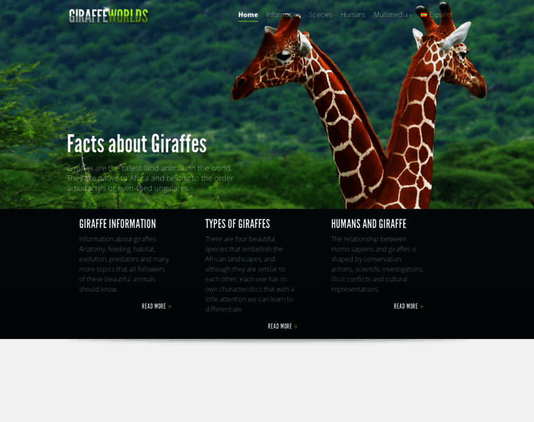 Giraffeworlds.com thumbnail