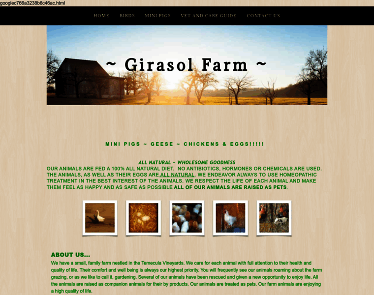 Girasolfarm.com thumbnail