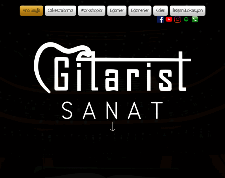 Gitaristanbul.org thumbnail