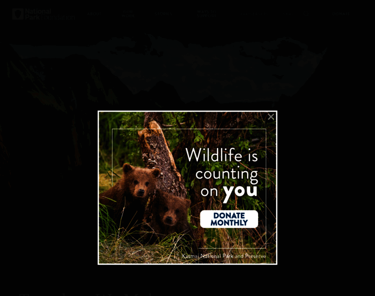 Give.nationalparks.org thumbnail