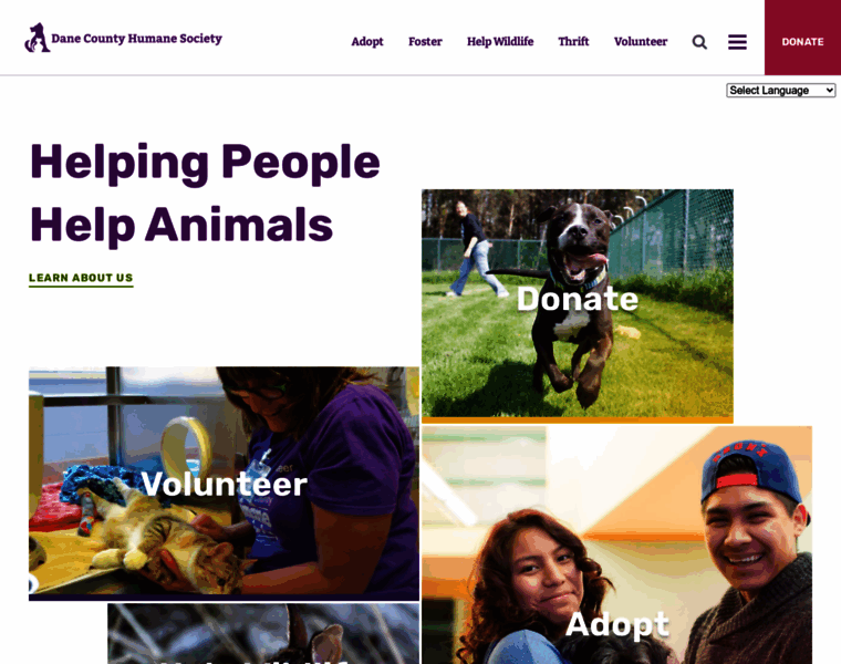 Giveshelter.org thumbnail
