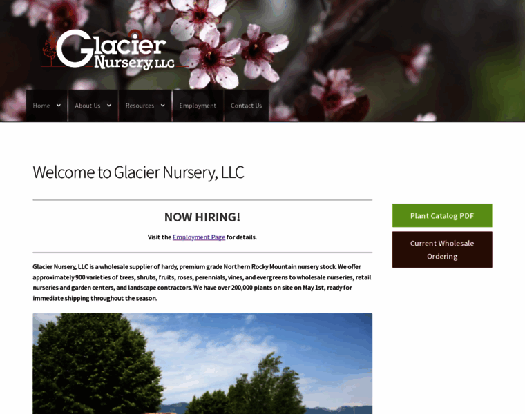 Glaciernursery.com thumbnail
