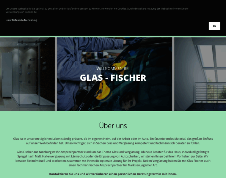 Glasfischer-nienburg.de thumbnail