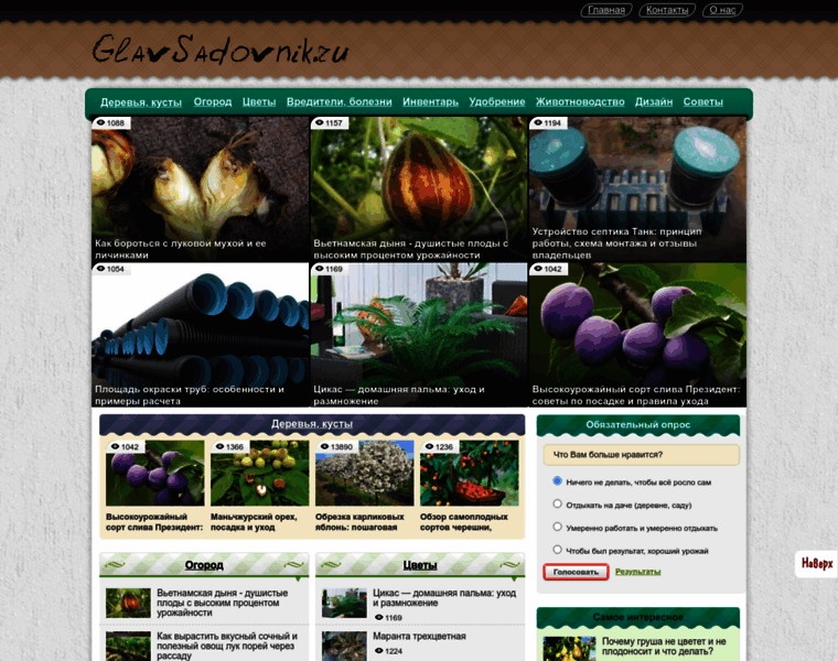 Glavsadovnik.ru thumbnail