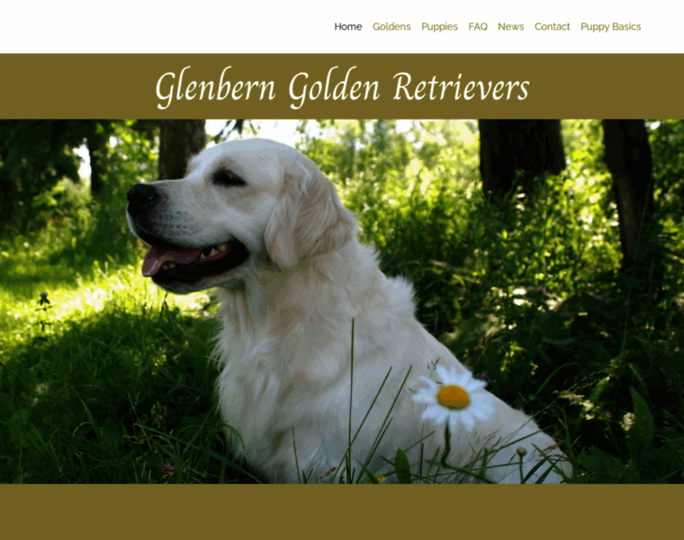 Glenbern.com thumbnail