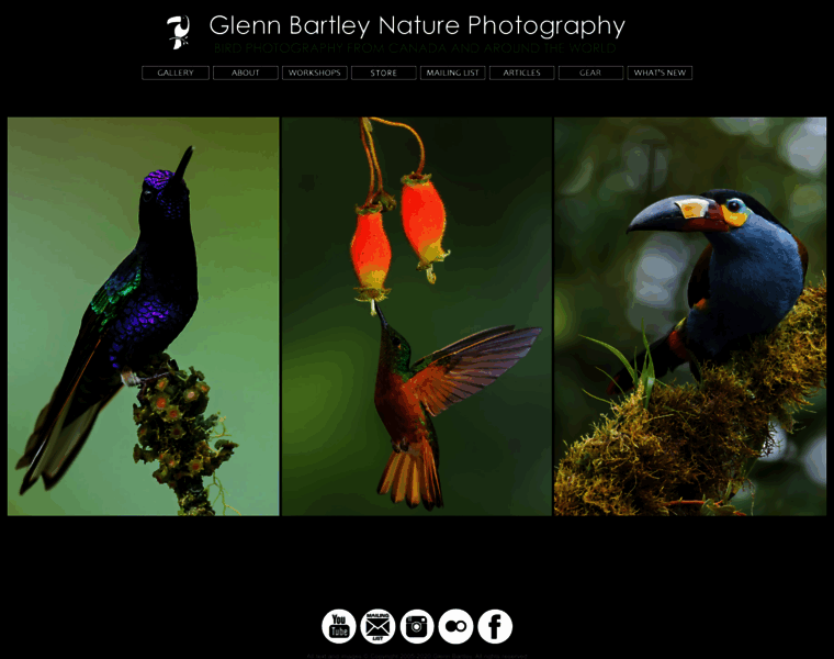 Glennbartley.com thumbnail