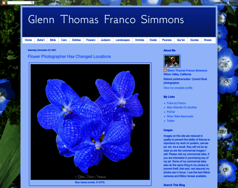 Glennfrancosimmons.com thumbnail