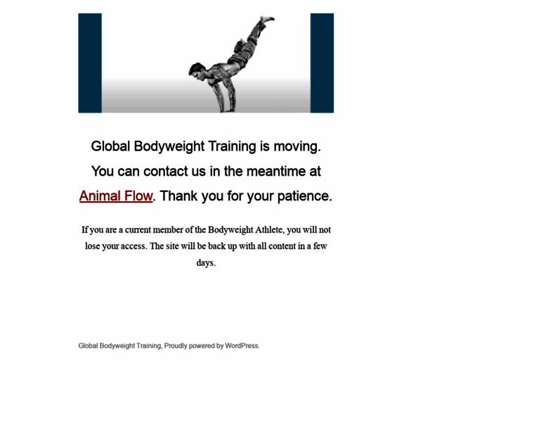 Globalbodyweighttraining.com thumbnail