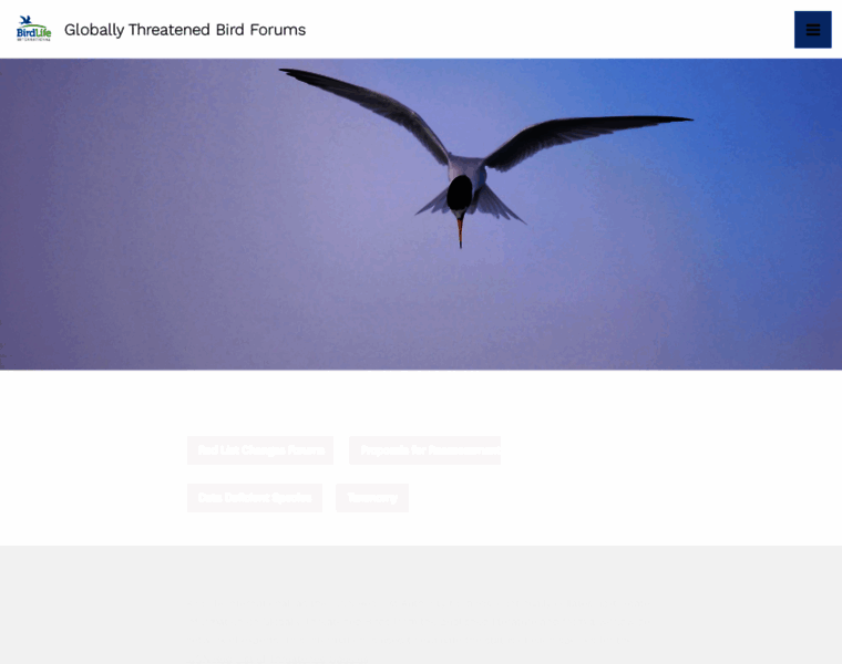 Globally-threatened-bird-forums.birdlife.org thumbnail