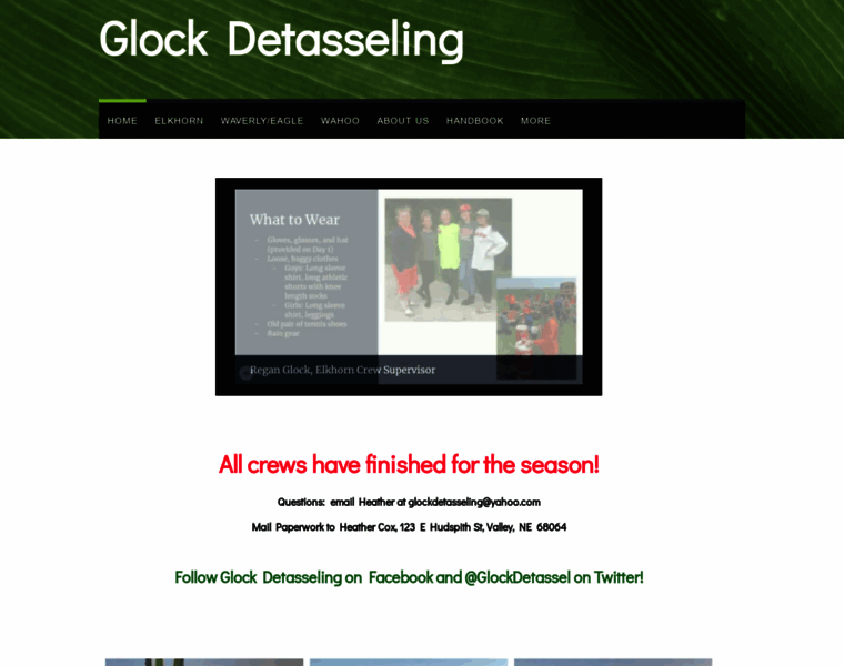 Glockdetasseling.com thumbnail