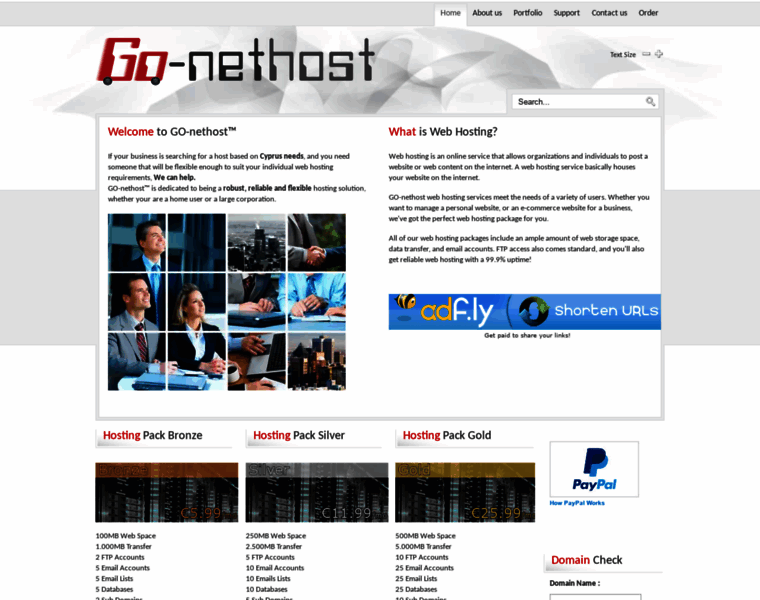 Go-nethost.com thumbnail