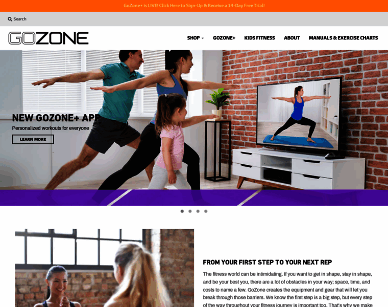 Go-zone.us thumbnail