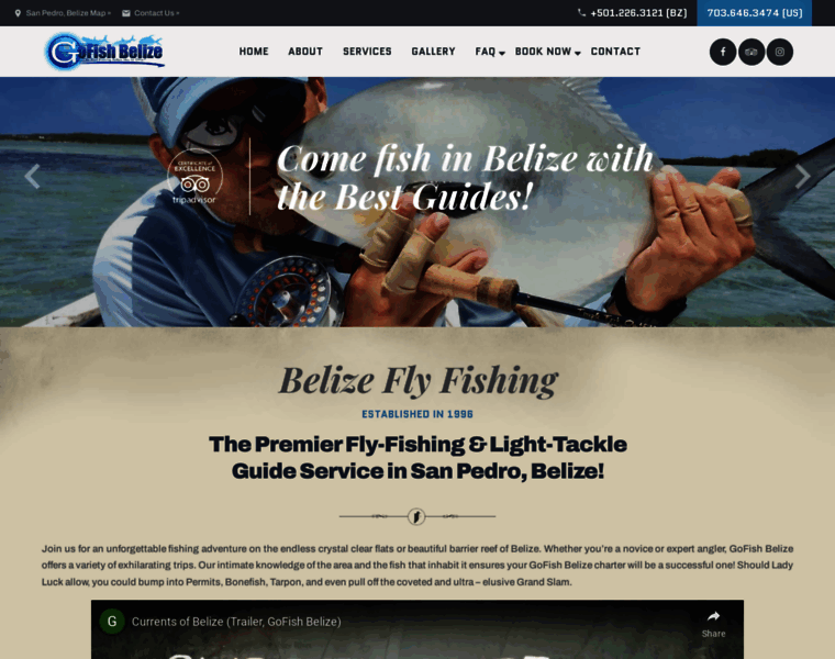 Gofishbelize.com thumbnail