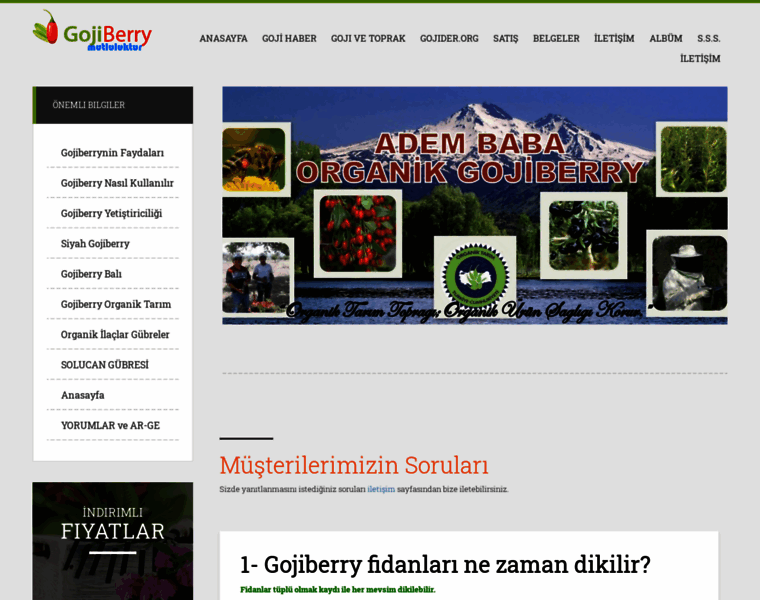 Gojiberryorganik.com thumbnail