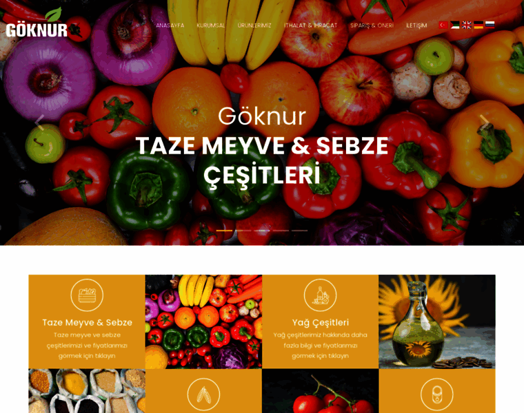 Goknur.biz thumbnail