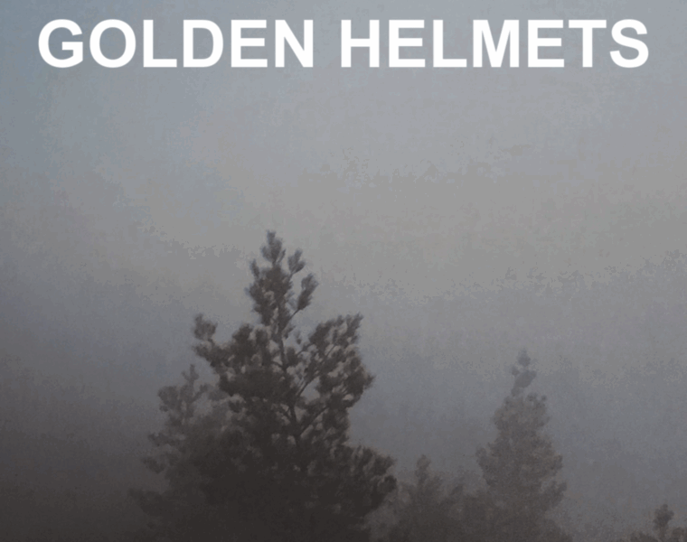 Golden-helmets.de thumbnail