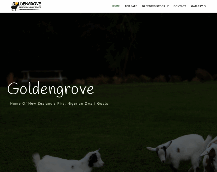 Goldengrove.co.nz thumbnail