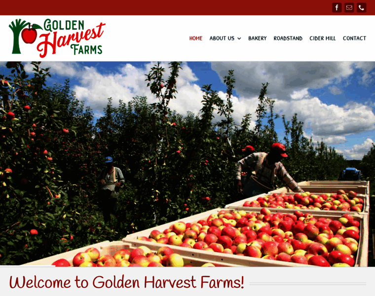 Goldenharvestfarms.com thumbnail
