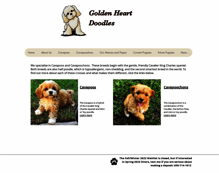 Goldenheartdoodles.com thumbnail