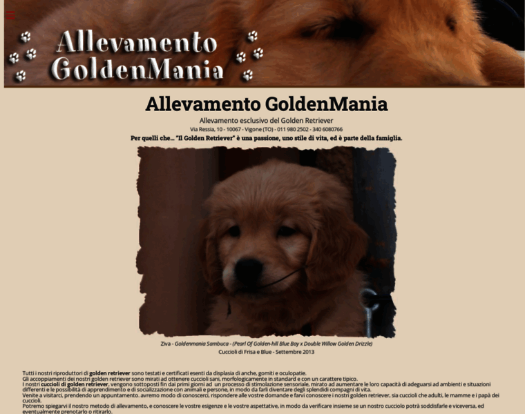 Goldenmania.it thumbnail