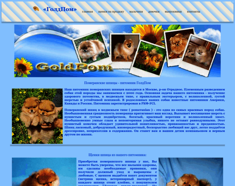 Goldenpom.com thumbnail