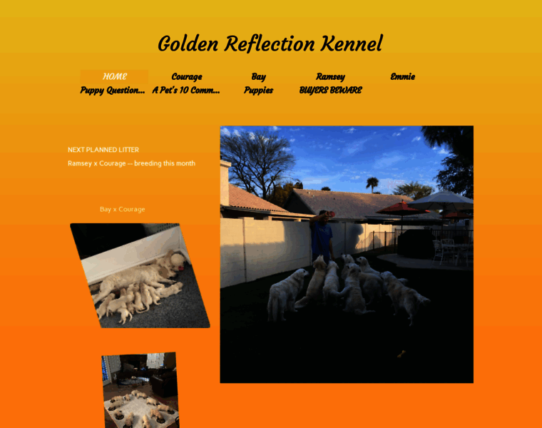 Goldenreflectionkennel.com thumbnail